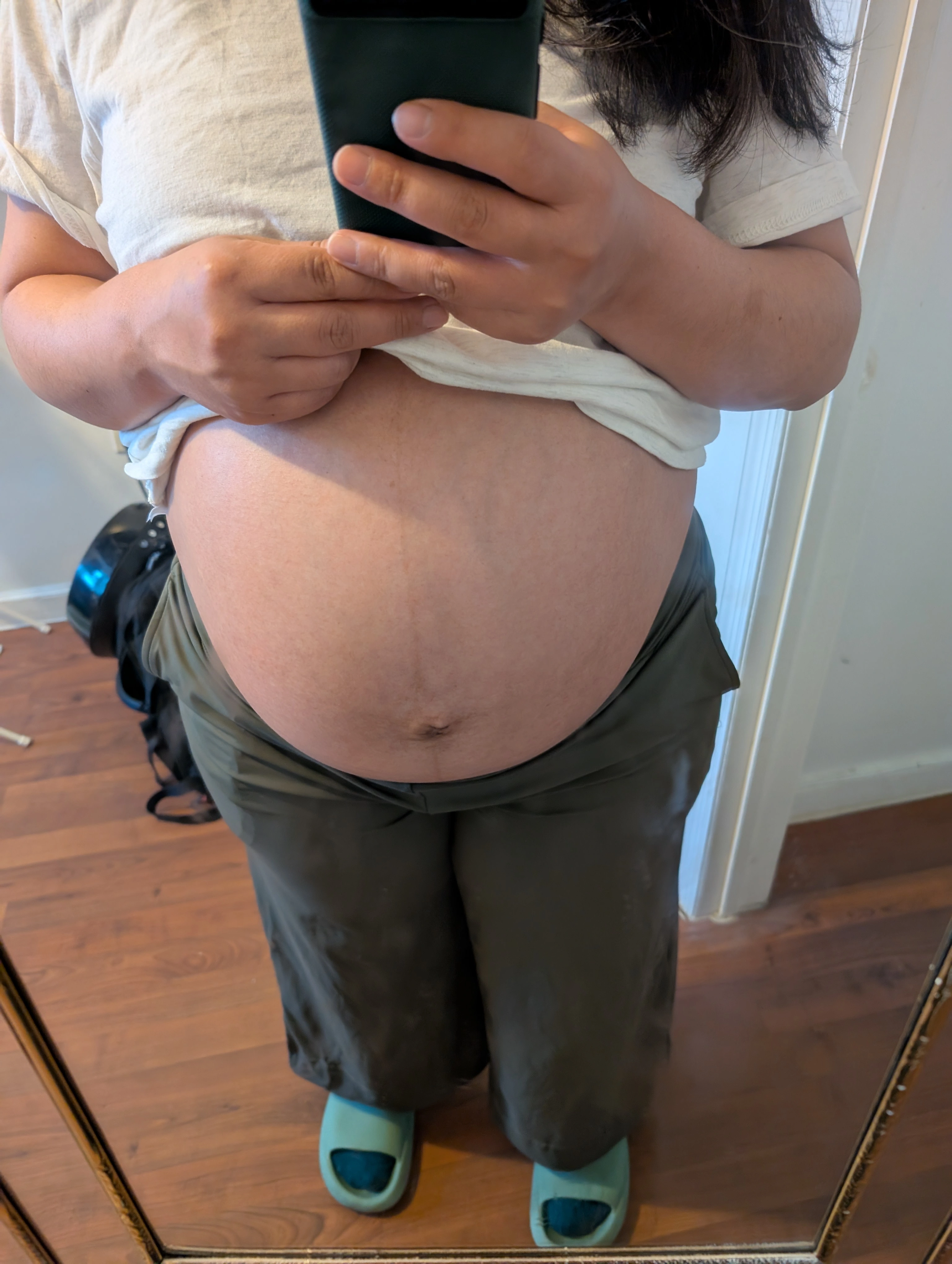 the pregnant blogger