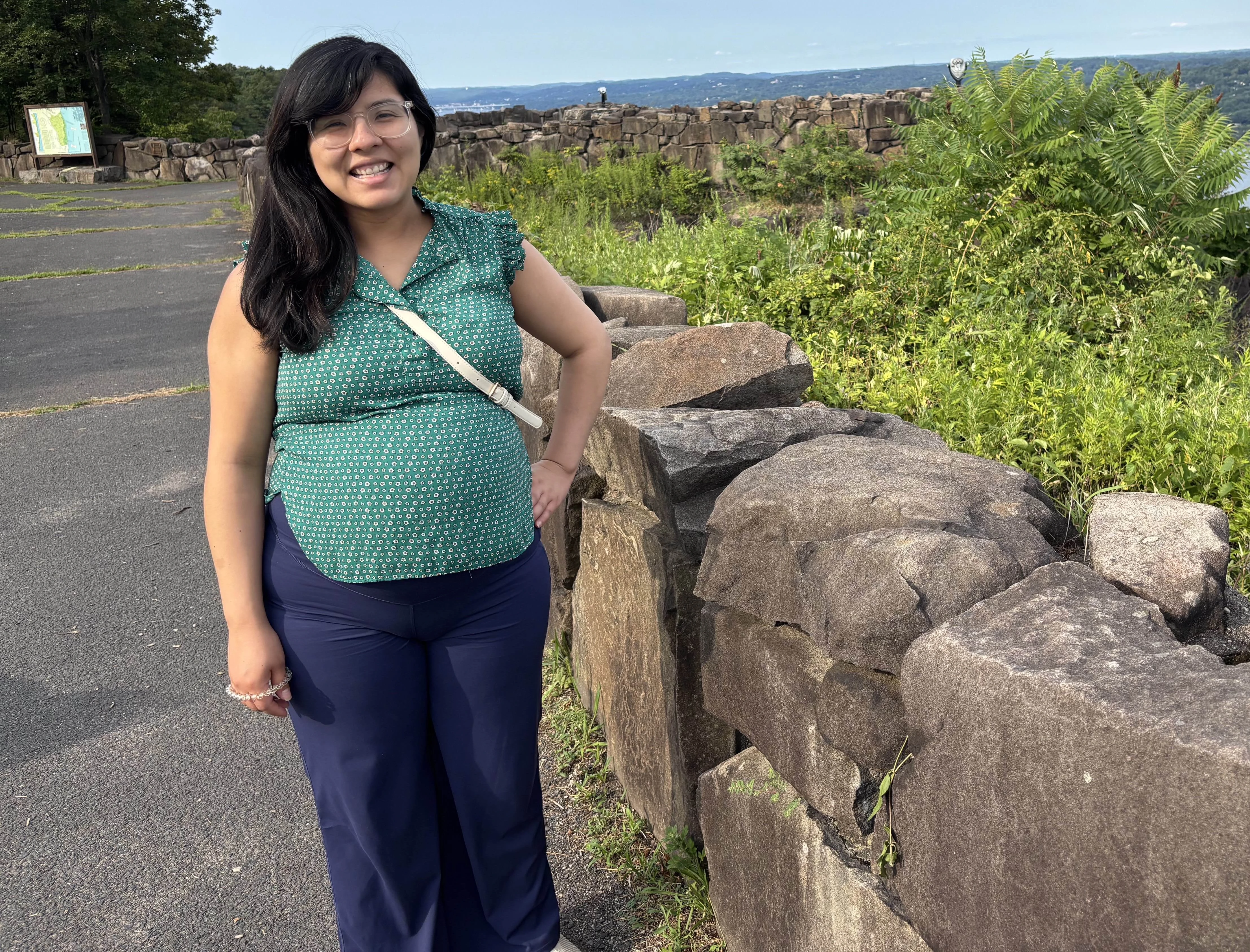 the pregnant blogger